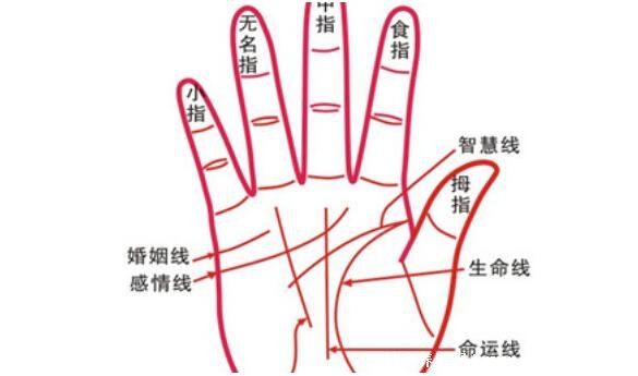 ����ͼ��Ů������⣬Ů����������ͼ������(�в����ߴ󸻴��)